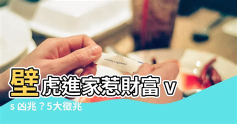 壁虎蛋風水|房間有壁虎？風水大師解密